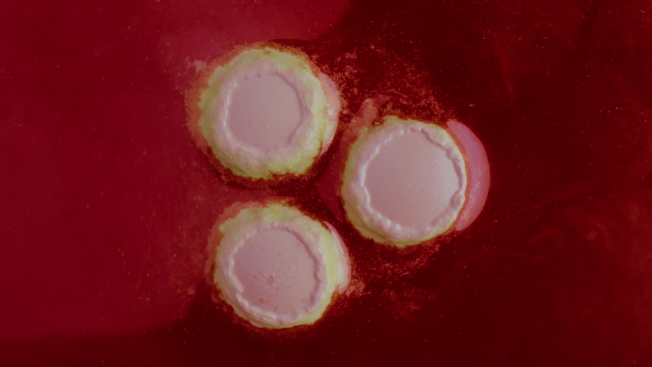 Microscopic View of Viral or Bacterial Colonies