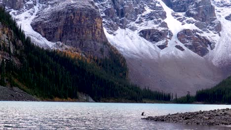 view of south shore of moraine lake in the rocky mountains