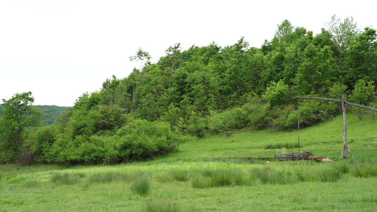 una antigua fuente de madera en verano