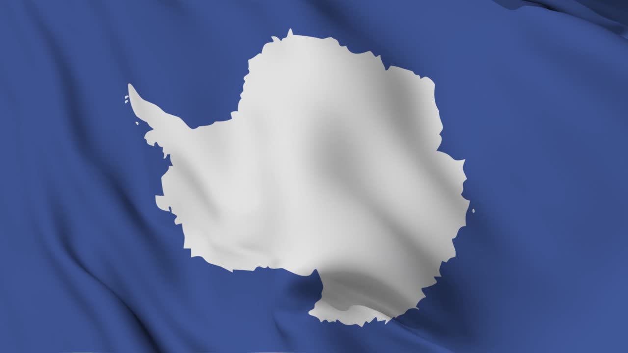 남극 4k 발을 흔들고