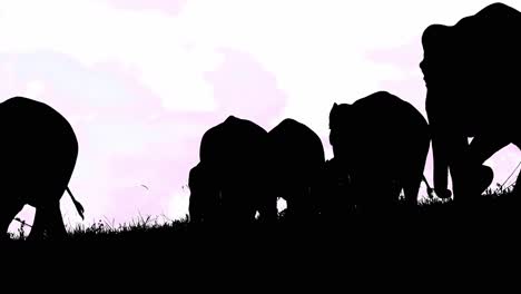 A-black-and-white-silhouette-of-these-Indian-Elephants-going-down-the-slope-of-this-landscape-just-before-dark,-Elephas-maximus-indicus,-Thailand