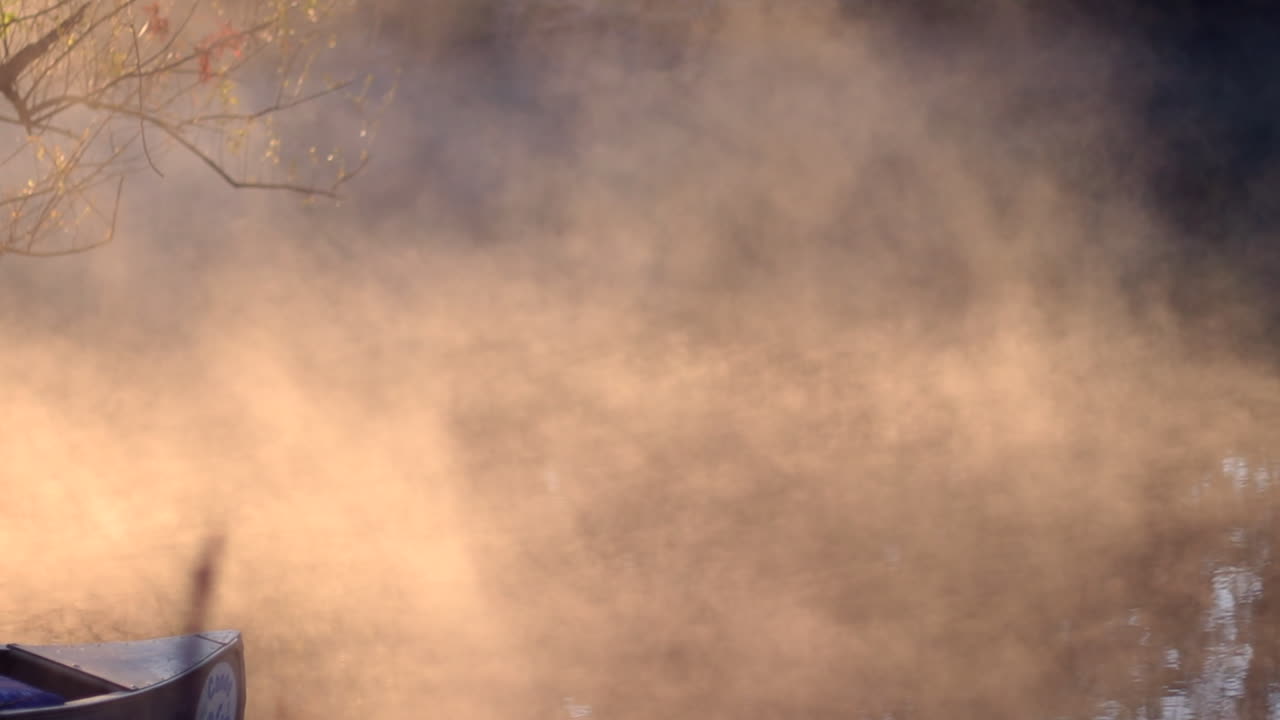 강호수 위에 떠 있는 아침 안개와 나무 사이로 비치는 아침 석양