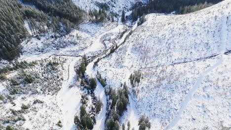 Snowy-path-in-mountain-forest-valley-on-winter-sunny-day