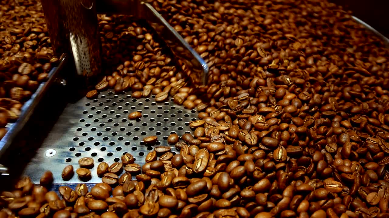 Coffee beans in the grinder. Fresh Coffee In coffee professional machine. Aroma, background.