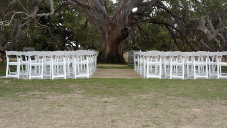 dolly bajo bajo un árbol grande en una ceremonia de boda al aire libre vacía