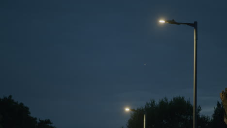 street lamp in evening light with insects flying around it