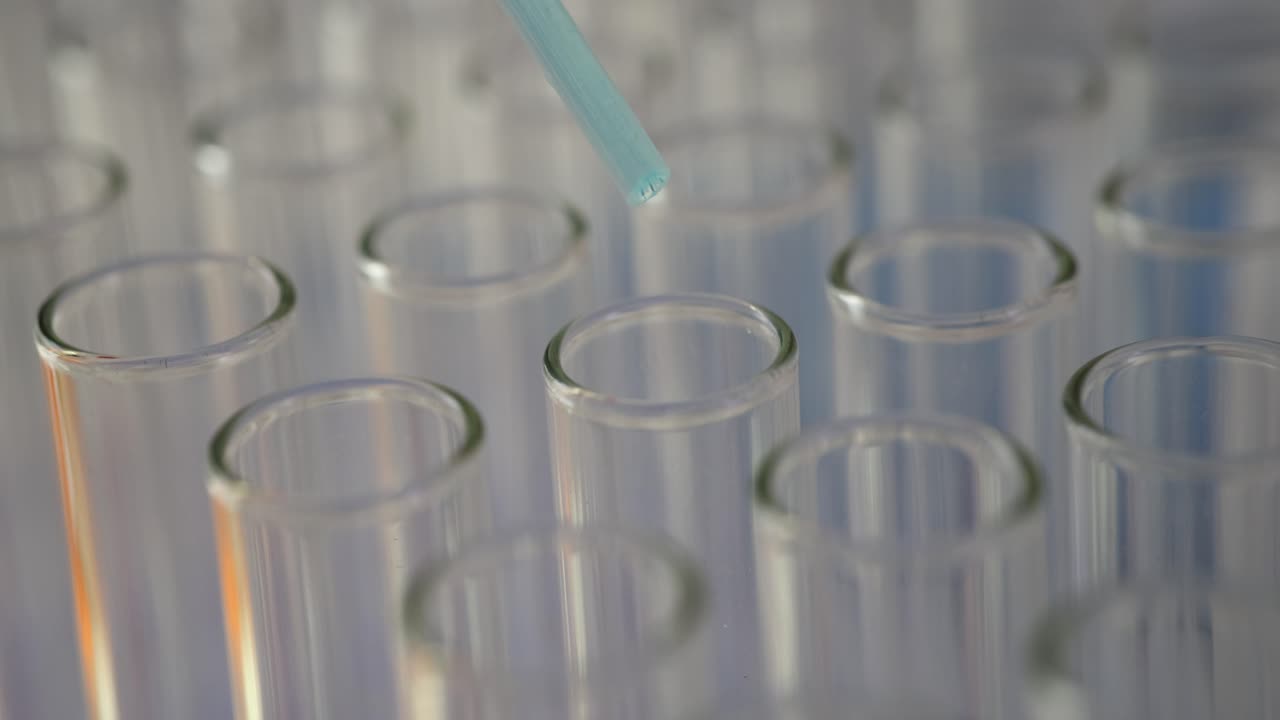 Laboratory Experiment with Test Tubes