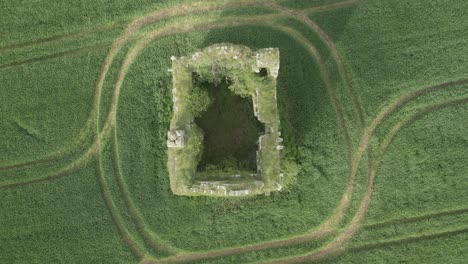 top down view of gortmakellis castle in garryard, ireland - drone shot