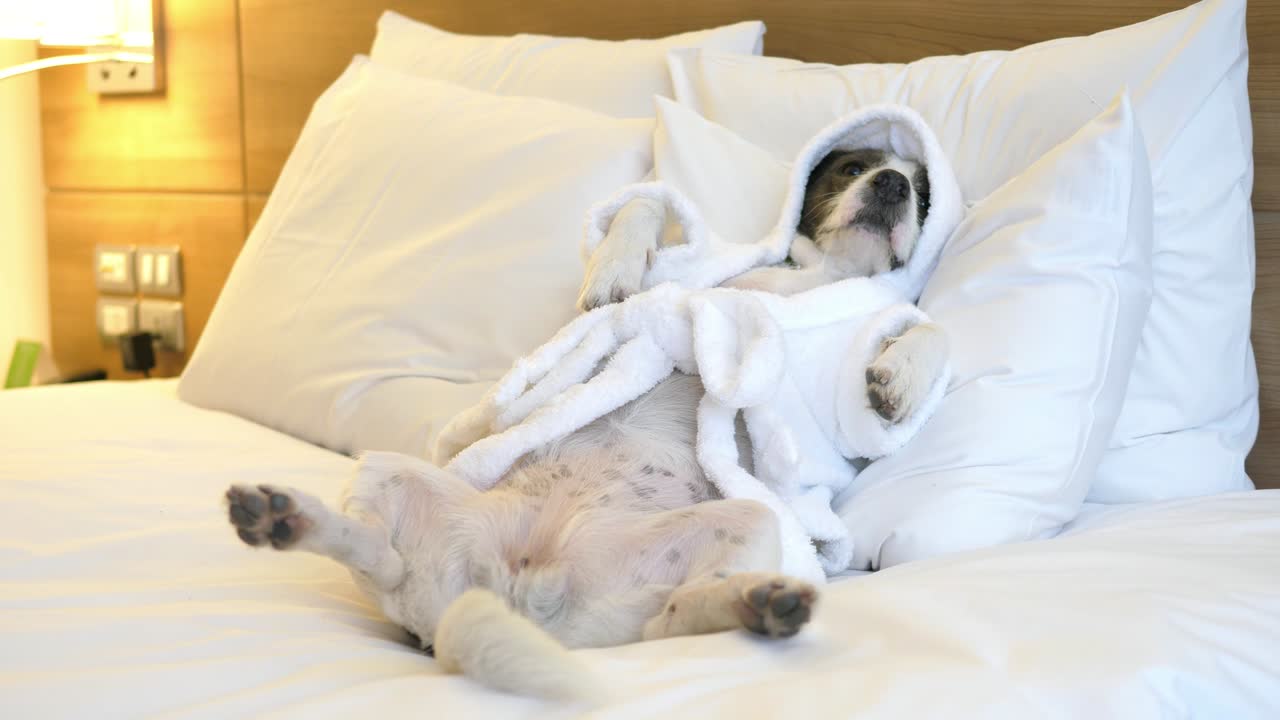 침대에 누워 있는 목욕복을 입은 편안한 개