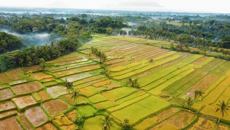 Beautiful-cinematic-Ubud,-Bali-drone-footage-with-exotic-rice-terrace,-small-farms-and-agroforestry-plantation