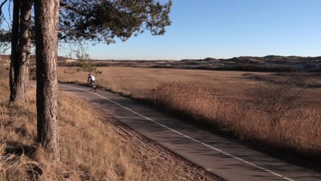 bicycle traffic in sunny hilly landscape