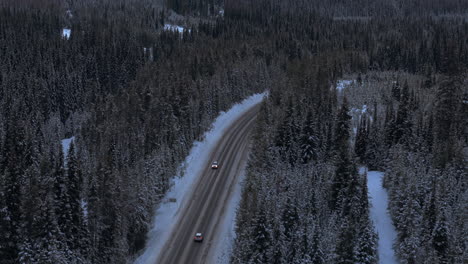the crowsnest path: winter's quiet beauty