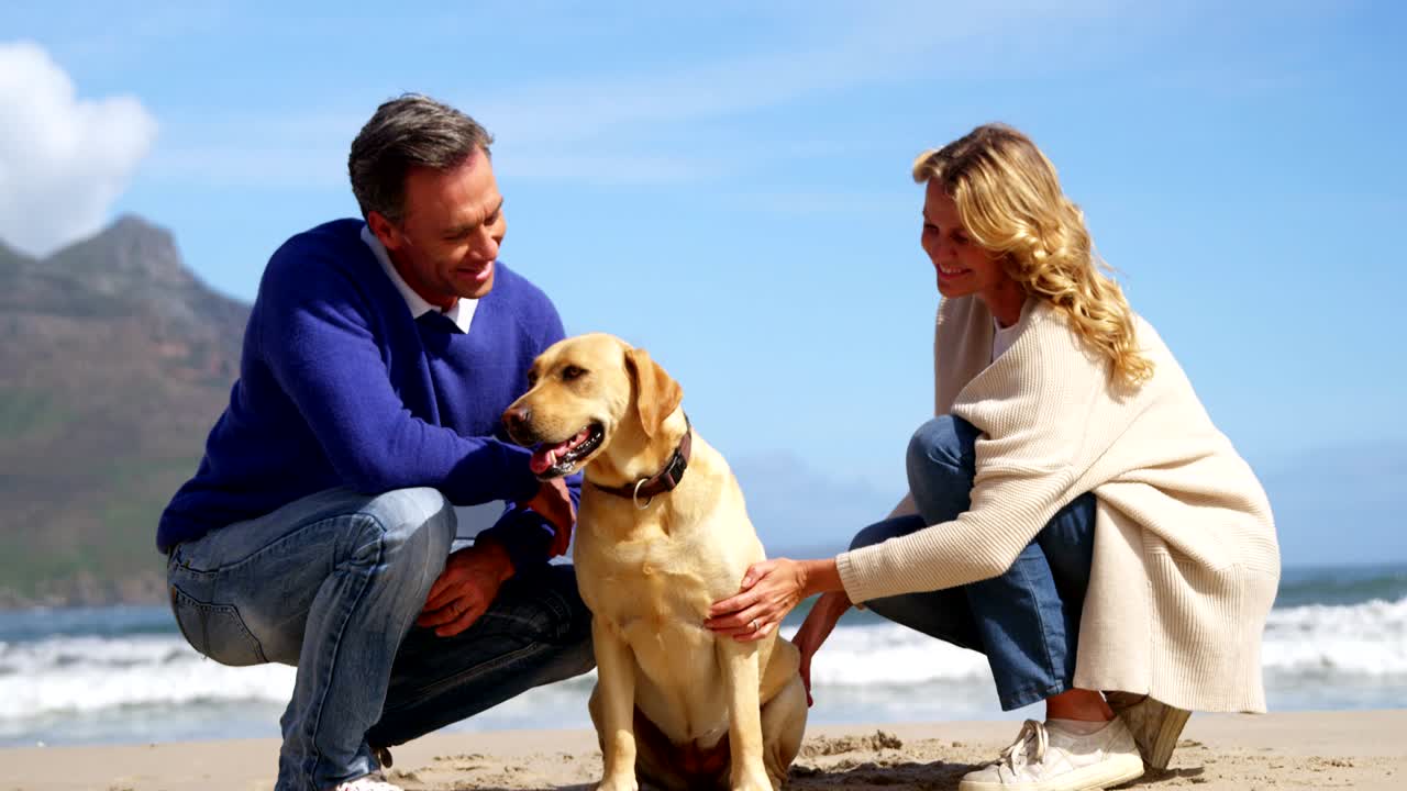 행복 한 성숙 한 커플 이 해변 에서 개 를 만지고 있다