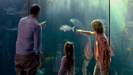 family pointing at fish in the aquarium