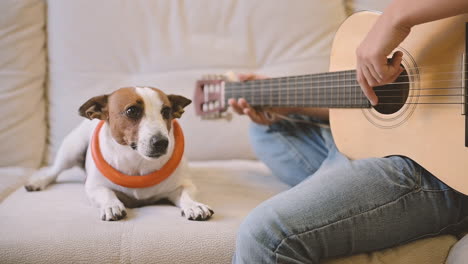 niño tocando la guitarra sentado en el sofá, junto a él está su perro acostado