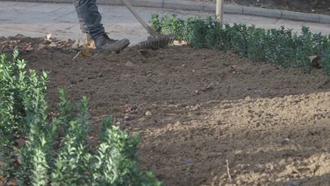 person tilling garden soil