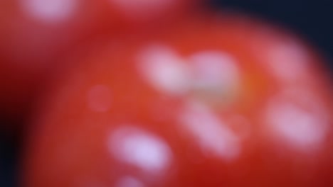 close-up of fresh, wet tomatoes