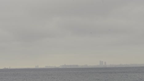 Pájaros-Volando-En-El-Cielo-Azul-Y-Nidos-De-Pájaros