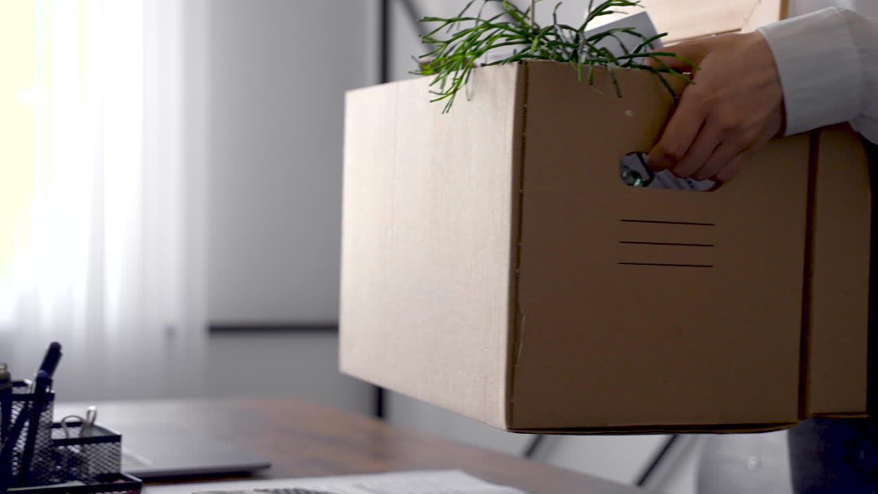 Close Up Of Woman's Hands Carrying Her Things In A Box