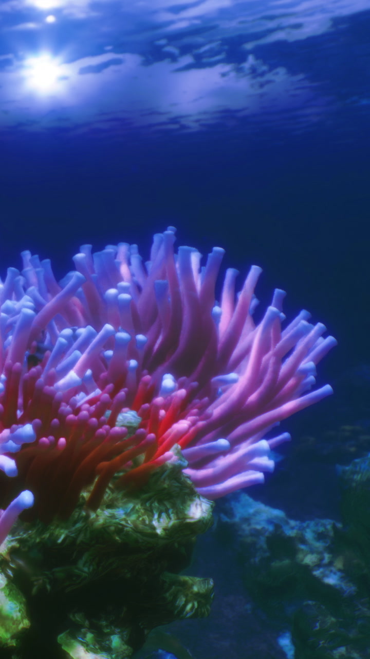 Vibrant underwater scene with colorful anemones swaying gently in the sea