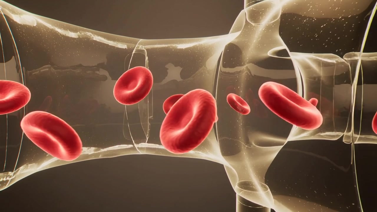 Entering left biconcave red blood cells rotating through narrow vessel junction transiting collar