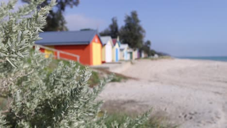 colorful beach boxes along a sandy shore