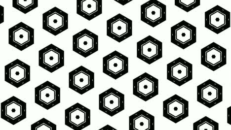 catchy hexagon black - white shapes animation