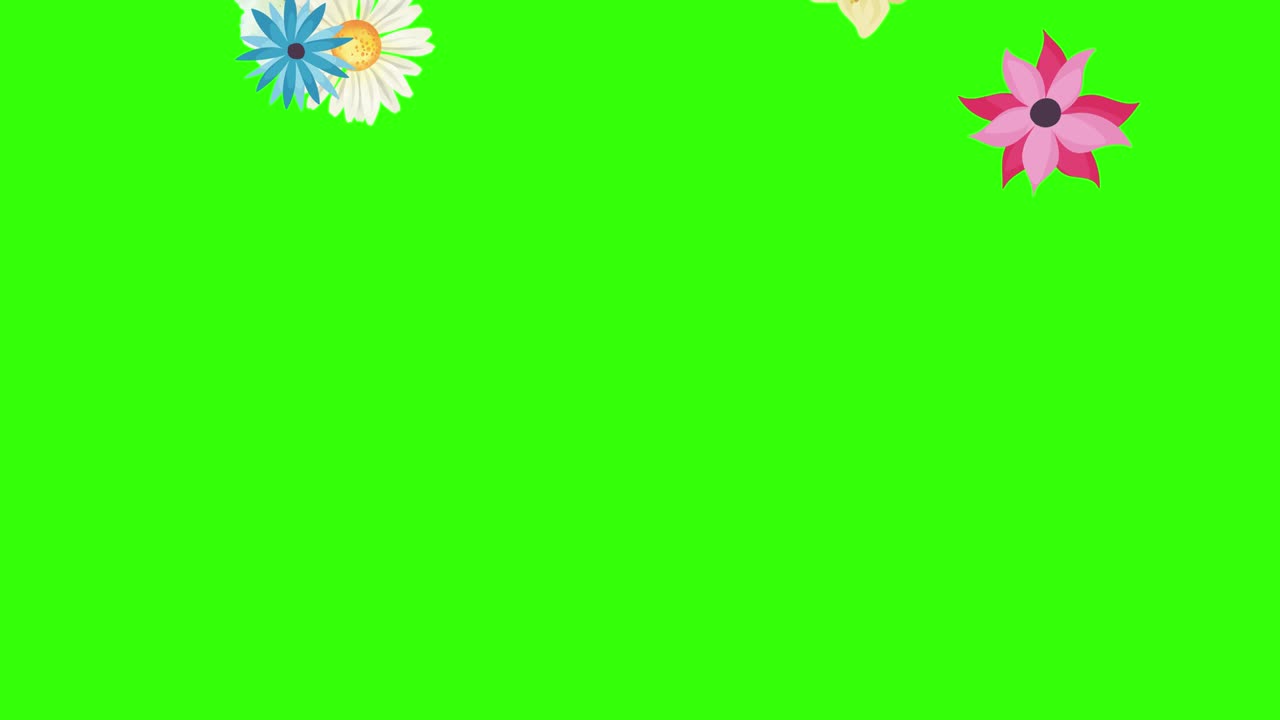 Group of spring flowers animation elements on green screen chroma key ...