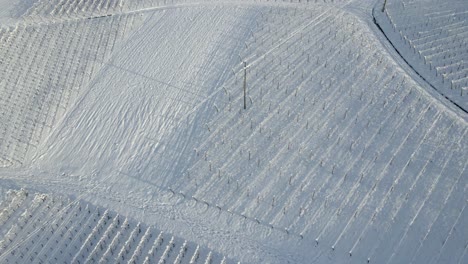 Vineyards-Covered-With-Snow-At-Daytime-Near-Zell-Weierbach-In-Offenburg,-Germany