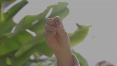 chef hand adding seeds to dish