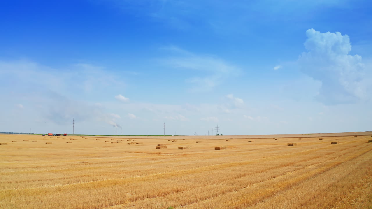 Agribusiness plantation on summer harvesting season. Rectangular hay bales in the field and agricultural machinery. Blue skies background.