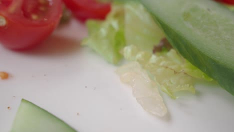 Fresh Cucumber and Tomato Salad