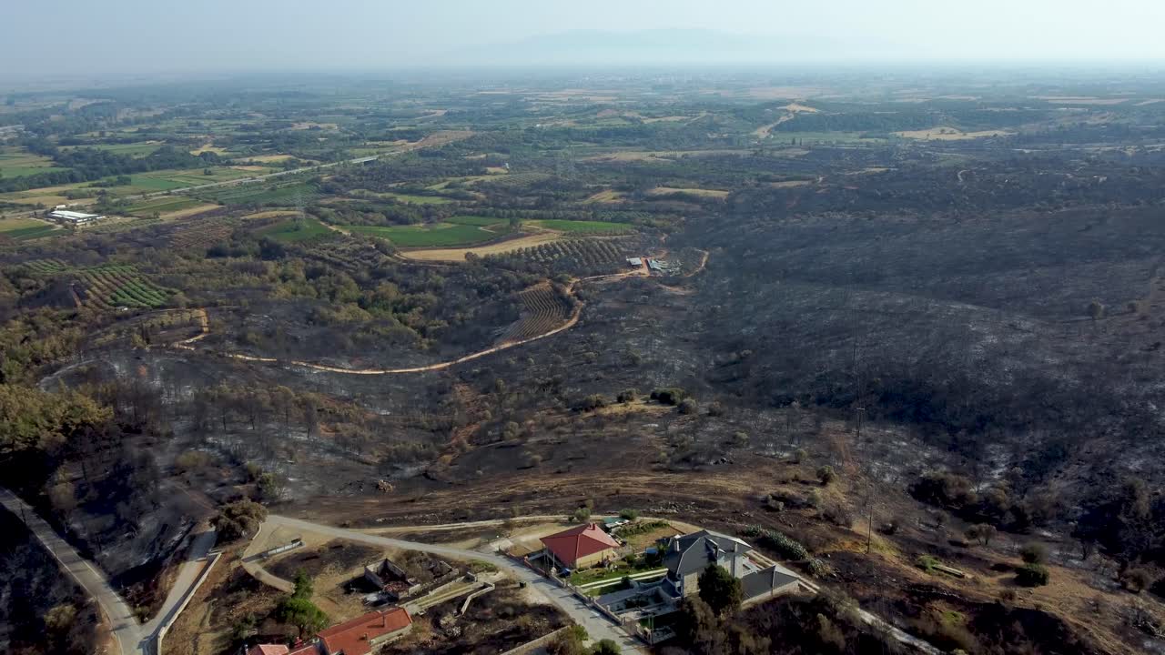 foto aérea de una vasta zona forestal debajo de una pequeña aldea que fue destruida por incendios en el norte de grecia, agosto de 2023