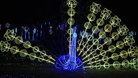 LED-Lighting-Festival-In-the-Park---Peacock-Feather-Slow-Mo