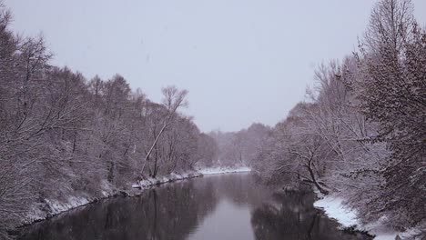 Malerische-Winternaturszene-Im-Polnischen-Wald,-Statischer-Schneiender-Schuss