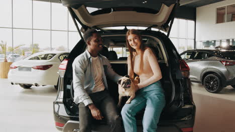 una pareja feliz con un perro pug en el maletero del coche en el concesionario