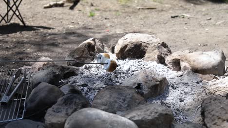 shot of someone roasting a golden brown marshmallow on a metal skewer to make s'mores