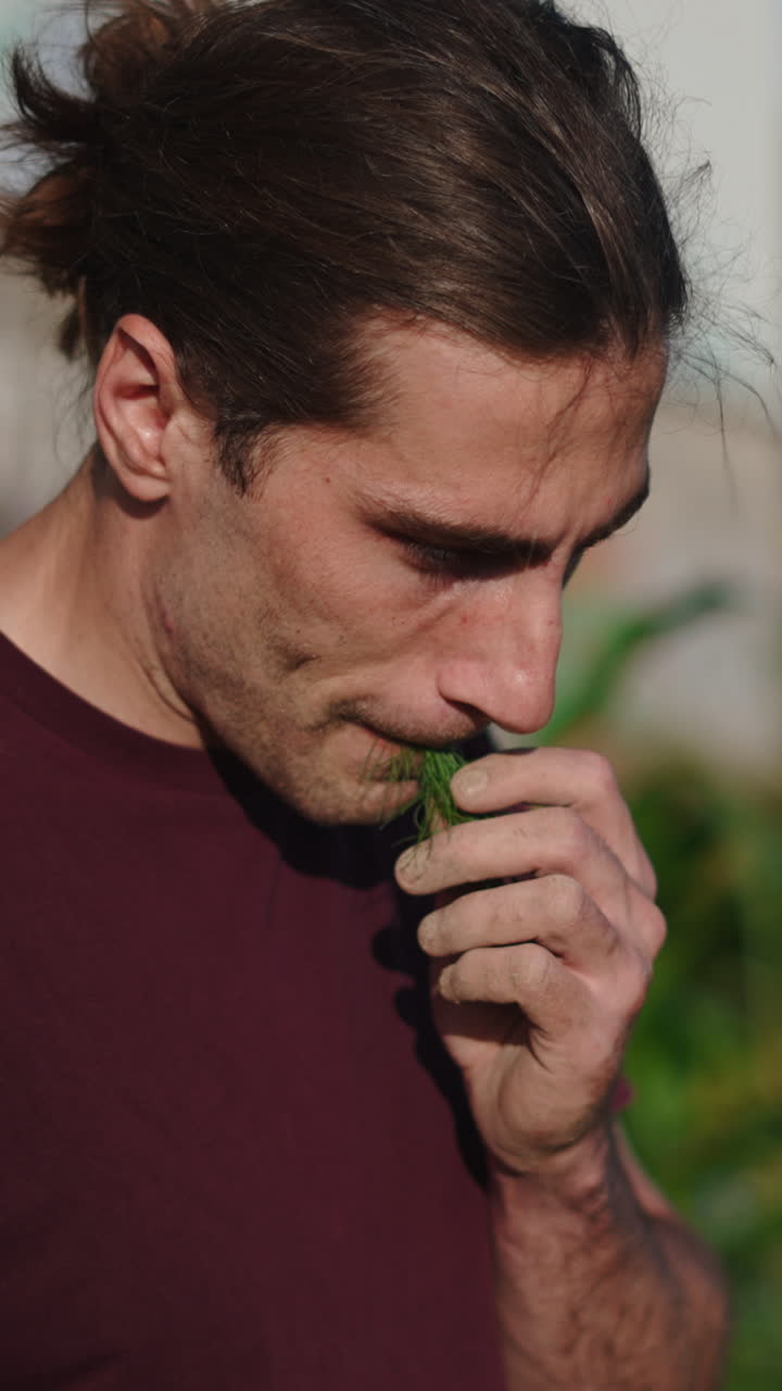 Close-up de homem cheirando ervas verdes frescas em um jardim