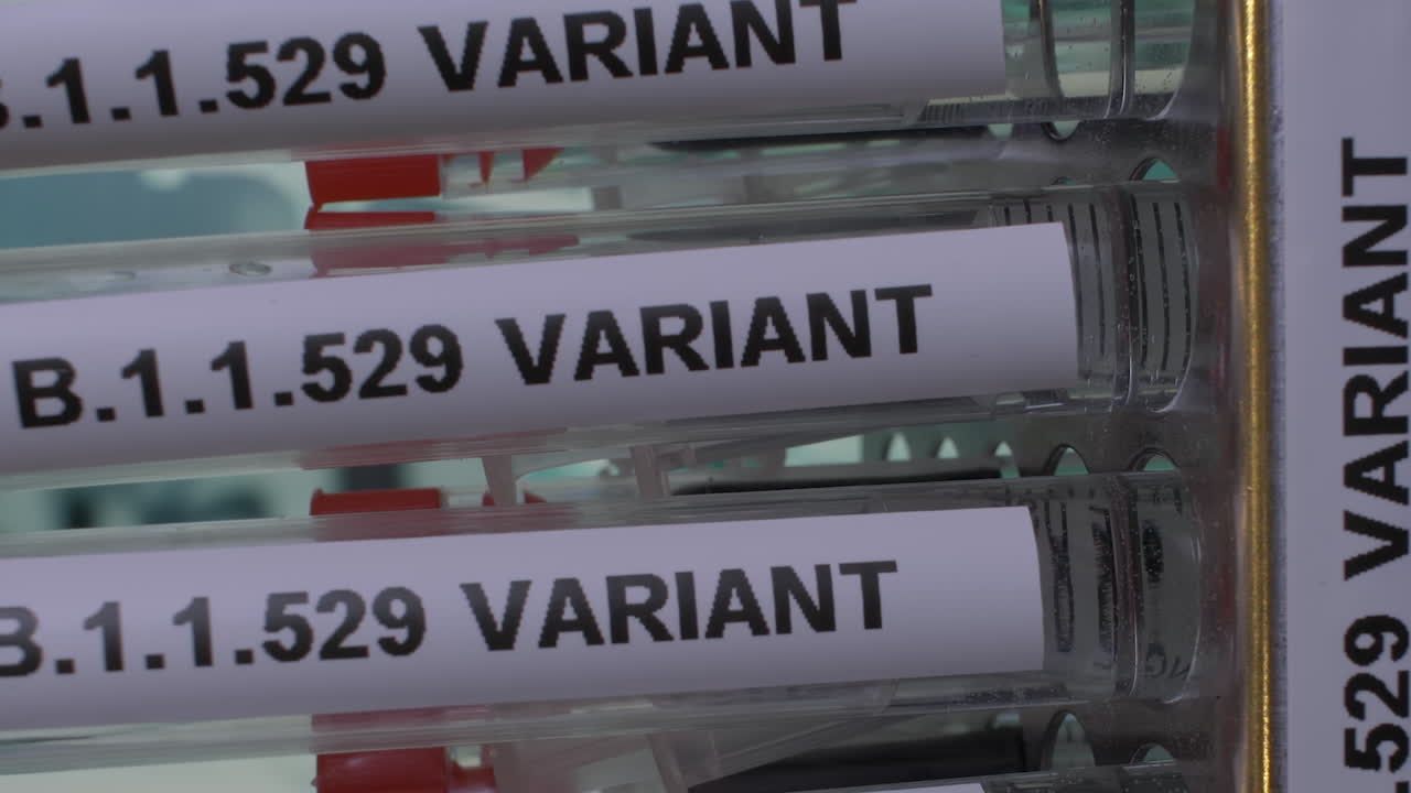 A close up vertical video of medical test tubes labelled with B.1.1.529 Variant, the new Omicron strain of the COVID 19 virus
