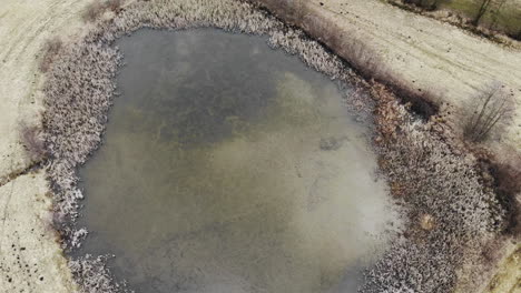 frozen lake