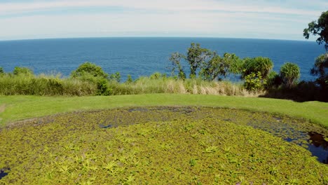 Fast-moving-drone-shot-of-the-lush-green-garden-on-the-Big-Island-of-Hawaii-on-the-edge-of-the-cliff-meeting-into-the-ocean