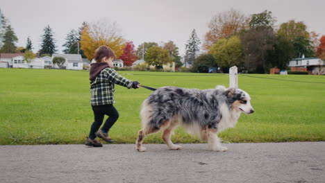 From-the-cute-baby-runs-away-the-dog,-which-he-walks-in-the-park.-Funny-videos-with-animals