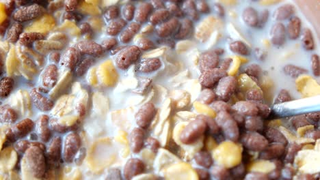 delicious mixed cereal with milk