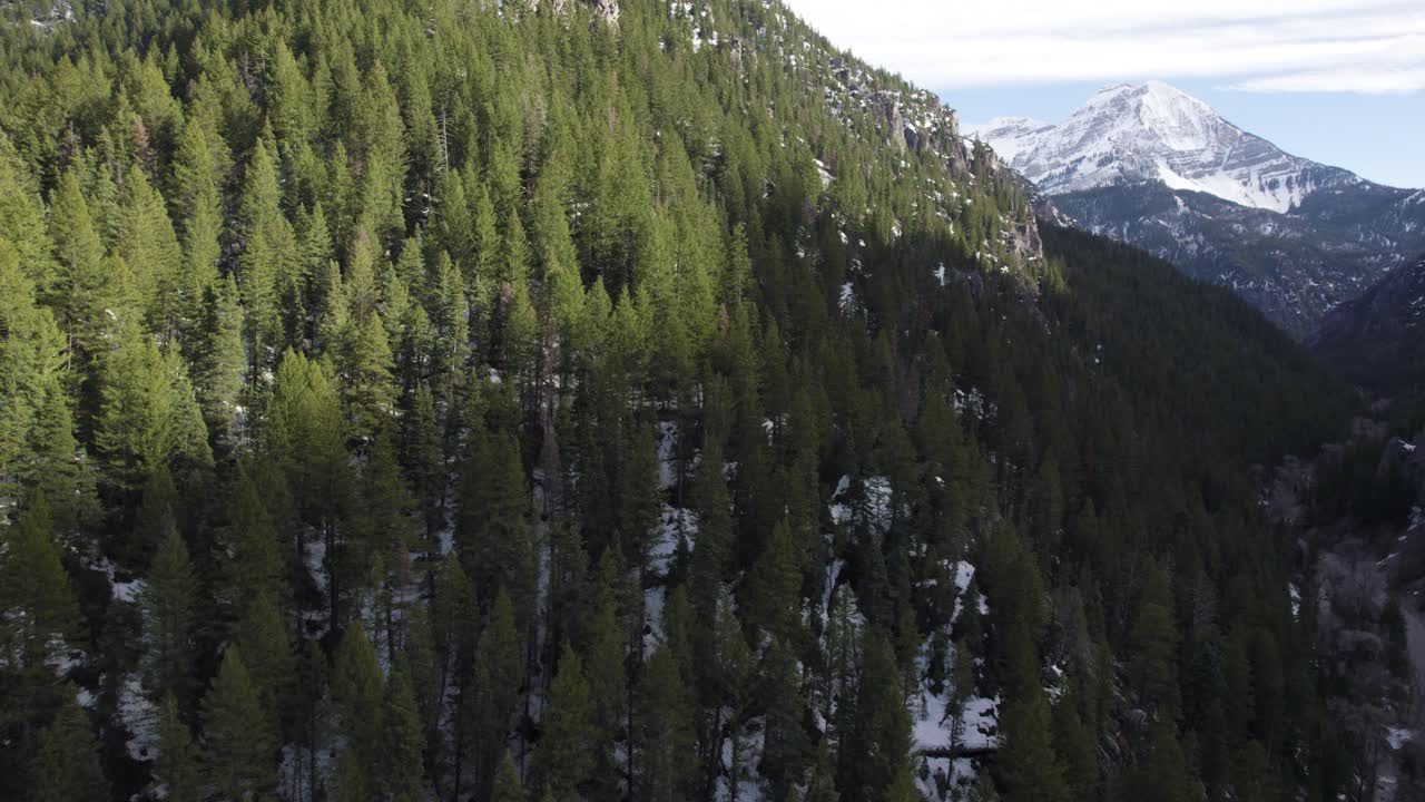 el monte timpanogos en el cañón de american fork, toma aérea