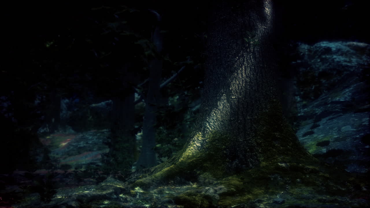 primer plano, verde, musgo, en, árbol, en, el, bosque