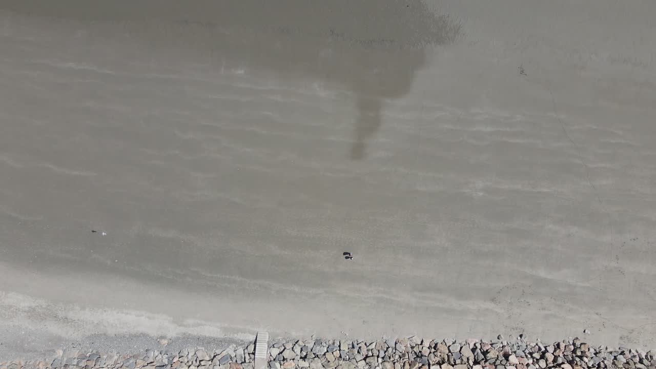 vista aérea de arriba hacia abajo de una playa durante la marea baja.