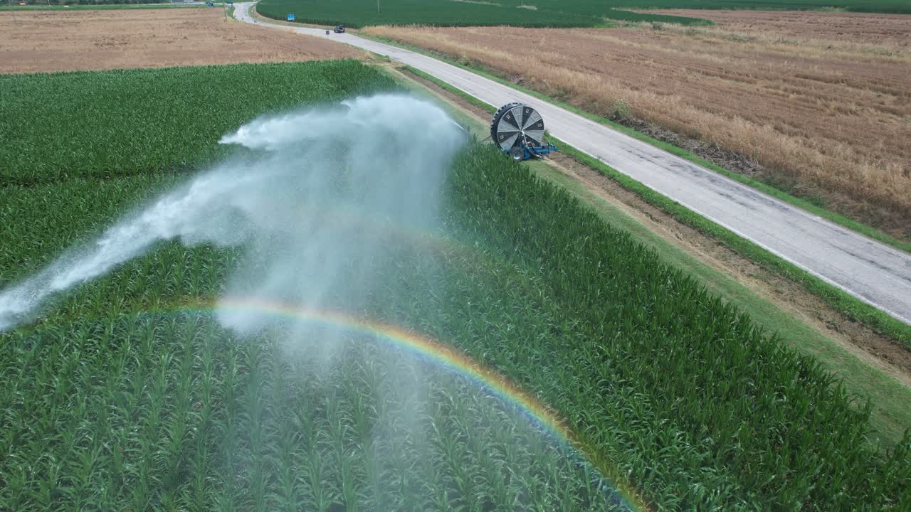 Un drone segue lo spruzzo arcuato di un irrigatore rotante in movimento tra le file di un campo di mais nella Pianura Padana italiana; la luce del sole crea un arco di arcobaleno che simboleggia l'irrigazione sostenibile tra le sfide climatiche
