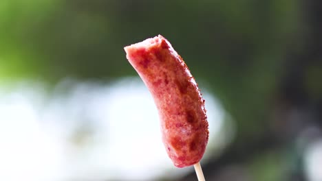 sausage on a stick against a blurred background