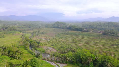 Vista-Aérea-Del-Impresionante-Paisaje-Con-Vistas-Al-Campo-De-Arroz,-Al-Río-Y-A-La-Montaña---Paisaje-Tropical-De-Indonesia