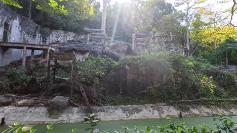 monkey enclosure at a tropical zoo